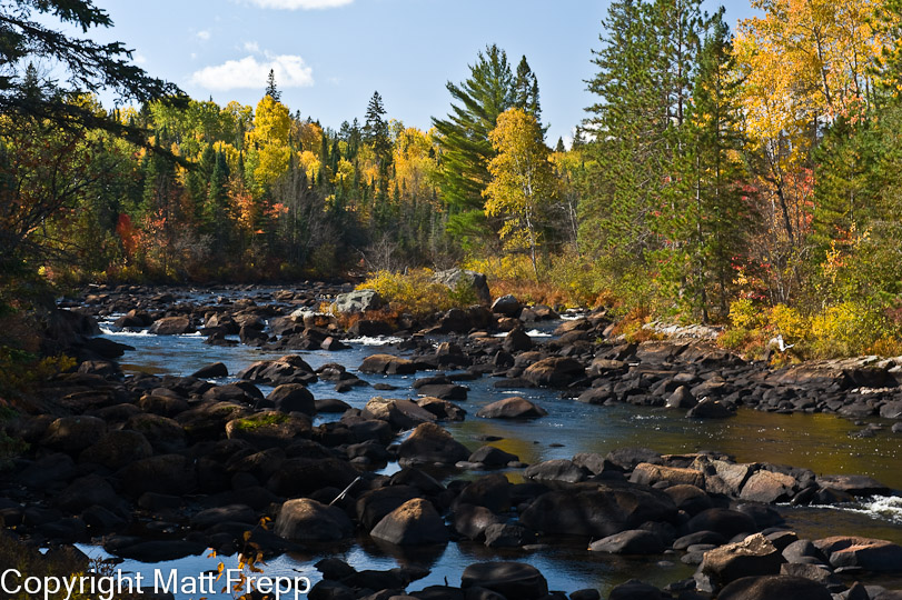 Algonquin