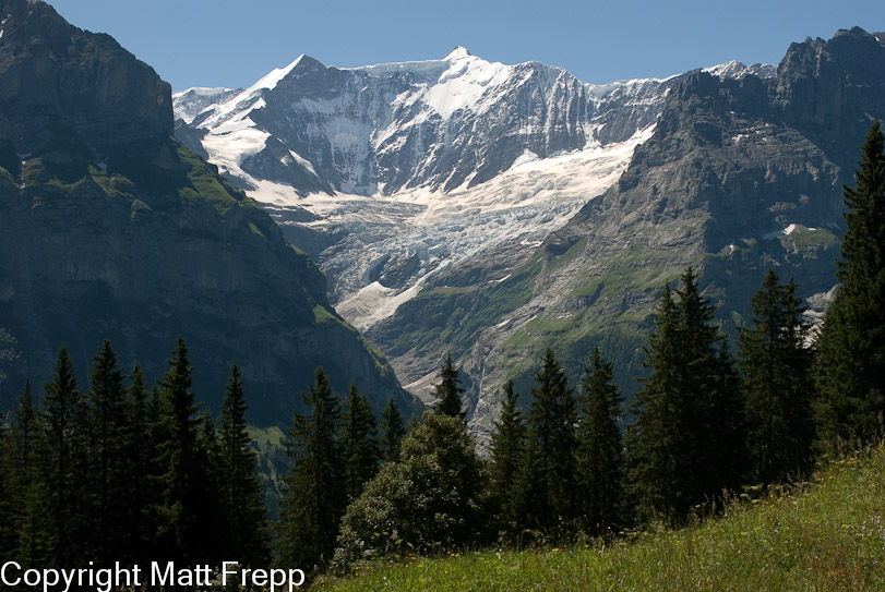 Grindelwald