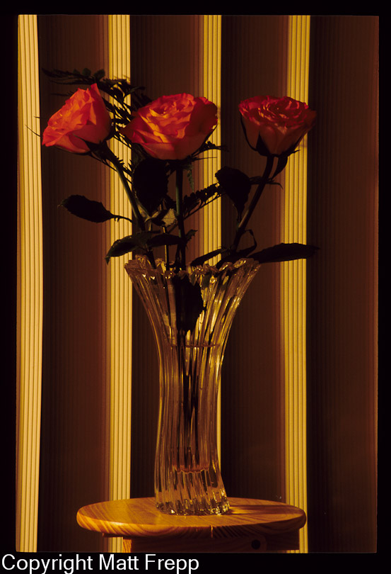 Roses