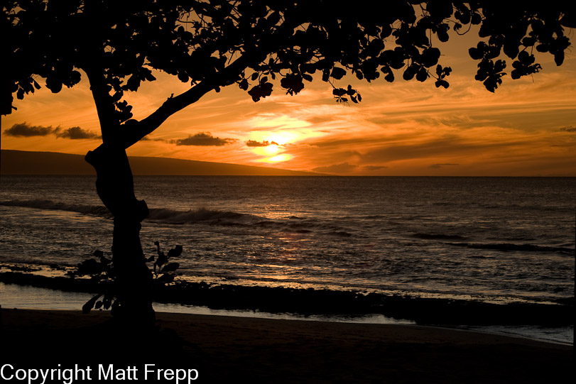 Maui
