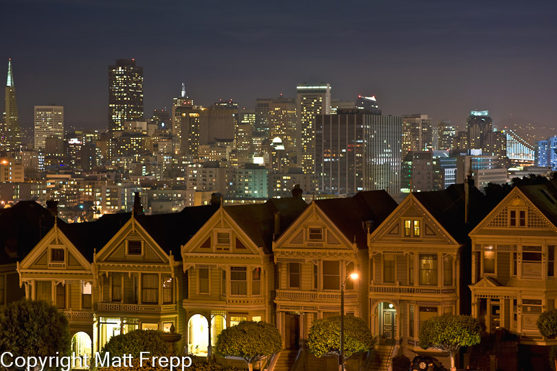 Painted Ladies